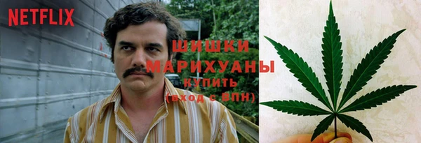гидропоника Арсеньев