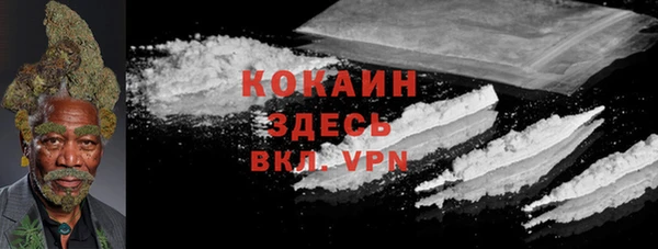 дурь Аркадак