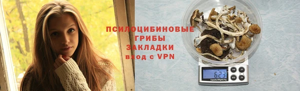 apvp Армянск