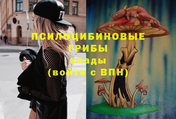 дурь Аркадак