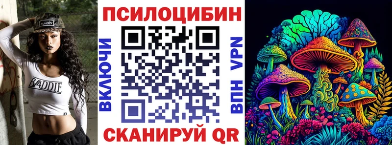 Псилоцибиновые грибы Cubensis Семикаракорск